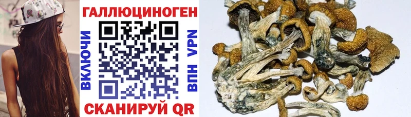 Галлюциногенные грибы Magic Shrooms Советский